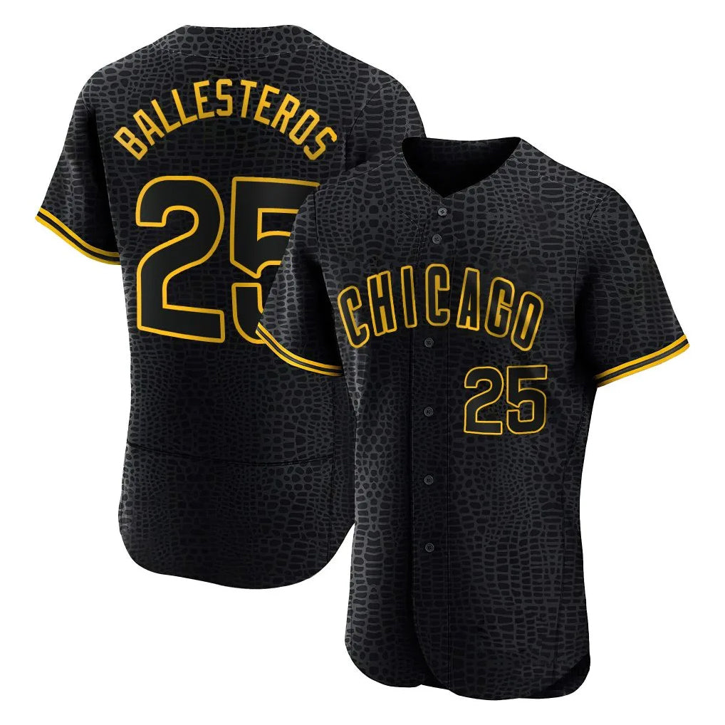 Chicago Cubs #25 Moises Ballesteros Player Black Fedasgoge Snake Skin City Limited Elite Home Game Stitched Jerseys