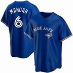 Toronto Blue Jays #6 Alek Manoah Blue Fedasgoge Stitched Cool Base Jersey