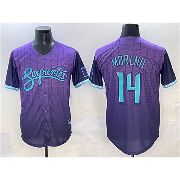 Arizona Diamondbacks #14 Gabriel Moreno Purple Fedasgoge 2025 City Connect Limited Stitched Jersey