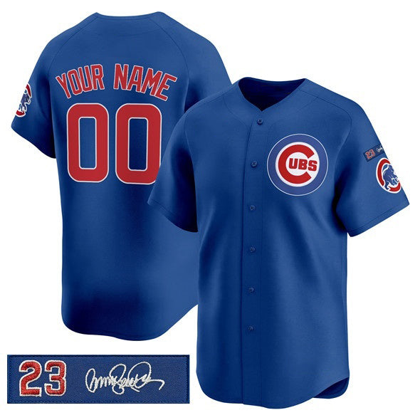 Custom Chicago Cubs Active Player Royal Fedasgoge 'Ryne Sandberg Tribute' Vapor Limited V3 Stitched Jersey