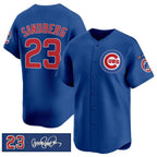 Chicago Cubs #23 Ryne Sandberg Royal Fedasgoge 'Ryne Sandberg Tribute' Vapor Limited V3 Stitched Jersey