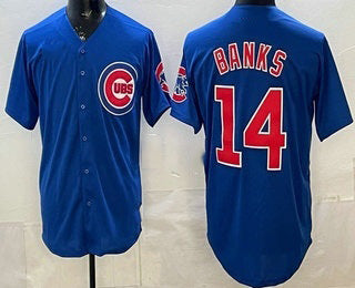 Chicago Cubs #14 Ernie Banks Blue Fedasgoge Limited Jersey