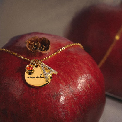 Personalized Initial Birthstone Necklace Mother's Day Gifts for Women Gold Name a Necklace Coin Pendant Custom Jewelry for Mom Gifts