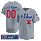 Custom Chicago Cubs Active Player Gray Fedasgoge 'Ryne Sandberg Tribute' Vapor Limited V3 Stitched Jersey