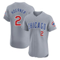 Chicago Cubs #2 Nico Hoerner Player Gray Fedasgoge Road Limited Elite Home Stitched Jerseys