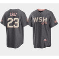 Washington Nationals #23 Nelson Cruz 2022 Grey Fedasgoge City Connect Cherry Blossom Cool Base Stitched Jersey