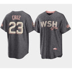 Washington Nationals #23 Nelson Cruz 2022 Grey Fedasgoge City Connect Cherry Blossom Cool Base Stitched Jersey