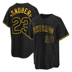 Chicago Cubs #23 Ryne Sandberg Player Black Fedasgoge Snake Skin City Game Stitched Jerseys